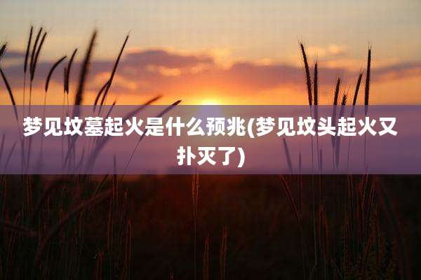 梦见坟墓起火是什么预兆(梦见坟头起火又扑灭了)