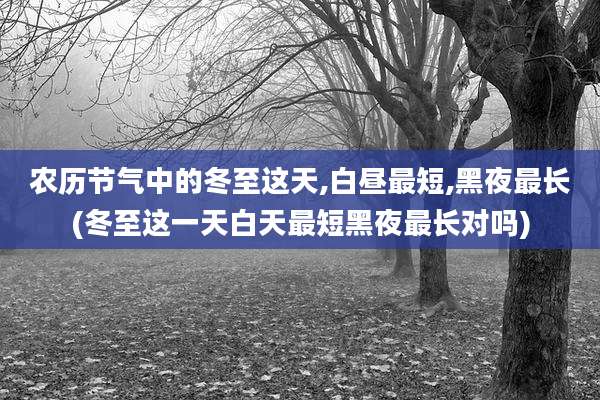 农历节气中的冬至这天,白昼最短,黑夜最长(冬至这一天白天最短黑夜最长对吗)
