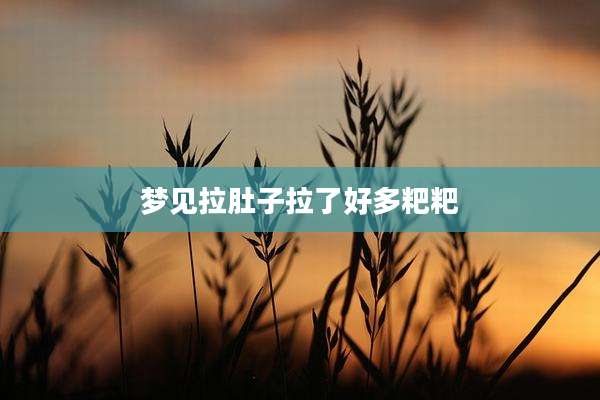 梦见拉肚子拉了好多粑粑