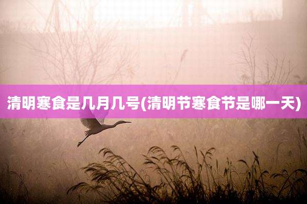 清明寒食是几月几号(清明节寒食节是哪一天)