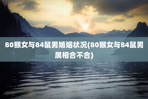 80猴女与84鼠男婚姻状况(80猴女与84鼠男属相合不合)