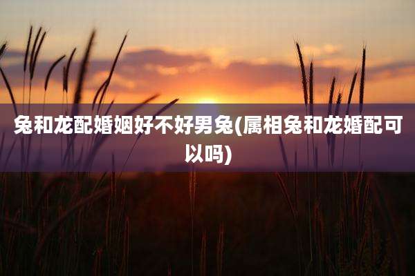 兔和龙配婚姻好不好男兔(属相兔和龙婚配可以吗)