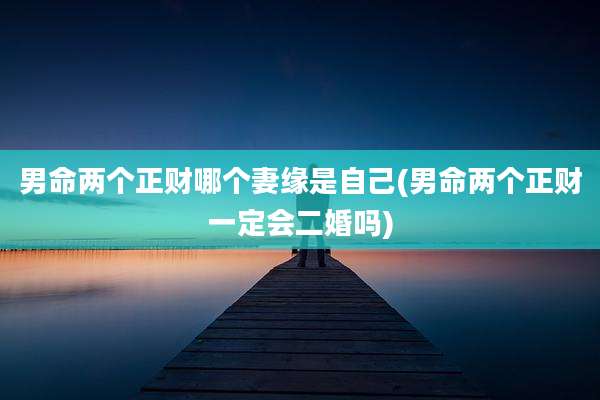 男命两个正财哪个妻缘是自己(男命两个正财一定会二婚吗)