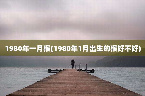 1980年一月猴(1980年1月出生的猴好不好)