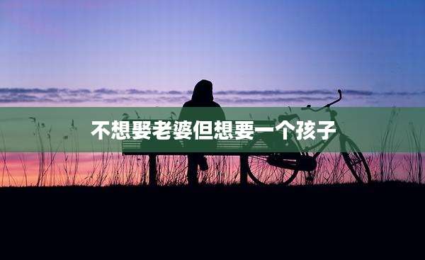 不想娶老婆但想要一个孩子