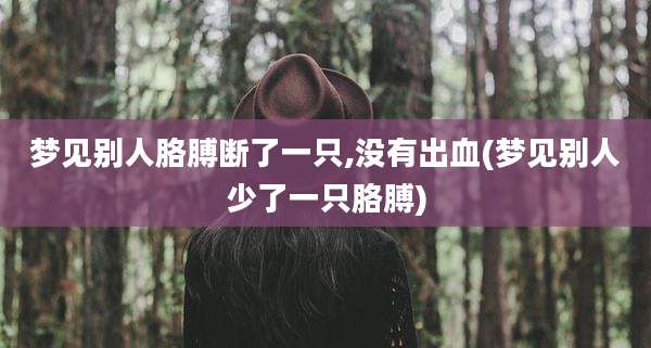 梦见别人胳膊断了一只,没有出血(梦见别人少了一只胳膊)