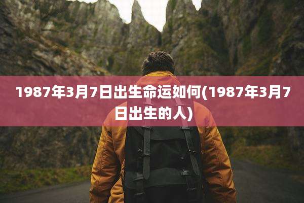 1987年3月7日出生命运如何(1987年3月7日出生的人)