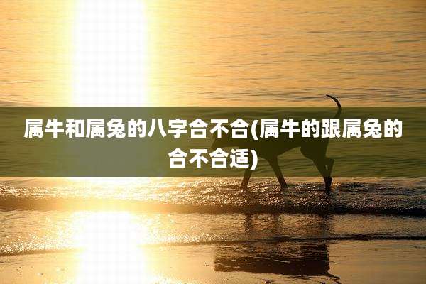 属牛和属兔的八字合不合(属牛的跟属兔的合不合适)