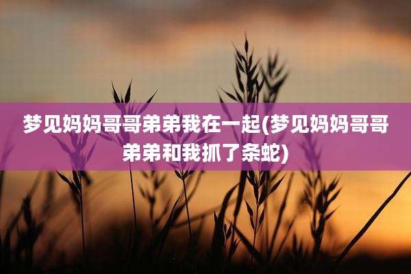 梦见妈妈哥哥弟弟我在一起(梦见妈妈哥哥弟弟和我抓了条蛇)