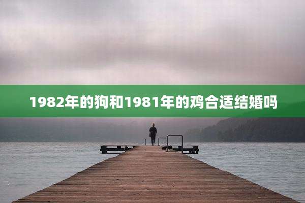 1982年的狗和1981年的鸡合适结婚吗