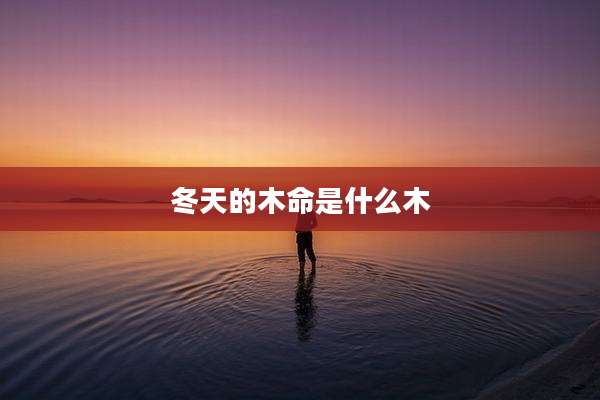 冬天的木命是什么木