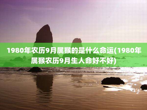 1980年农历9月属猴的是什么命运(1980年属猴农历9月生人命好不好)