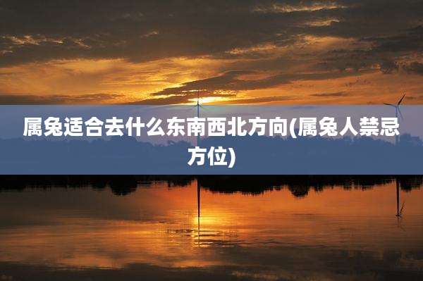 属兔适合去什么东南西北方向(属兔人禁忌方位)