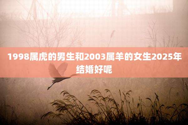 1998属虎的男生和2003属羊的女生2025年结婚好呢