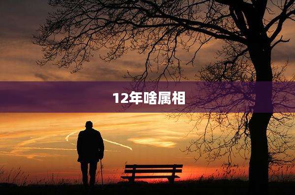 12年啥属相