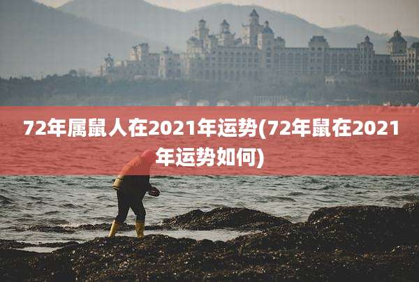 72年属鼠人在2021年运势(72年鼠在2021年运势如何)