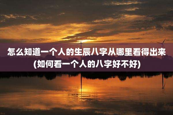 怎么知道一个人的生辰八字从哪里看得出来(如何看一个人的八字好不好)