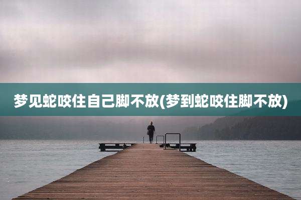 梦见蛇咬住自己脚不放(梦到蛇咬住脚不放)