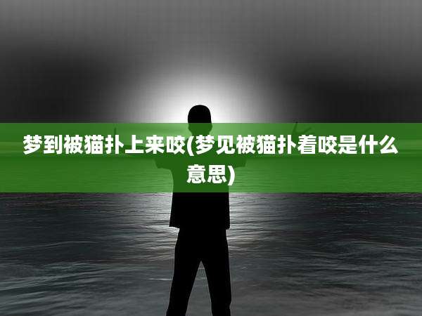 梦到被猫扑上来咬(梦见被猫扑着咬是什么意思)