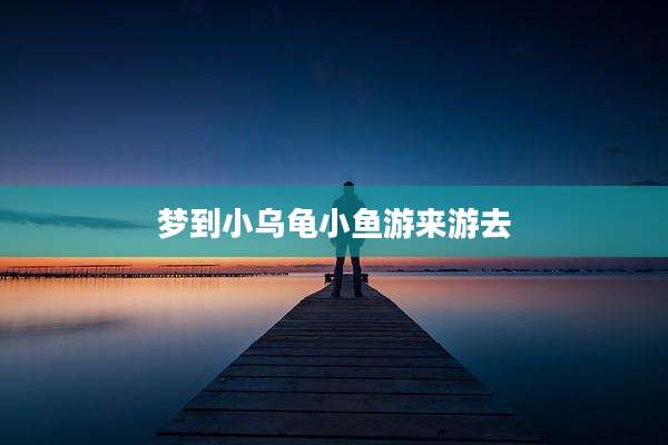 梦到小乌龟小鱼游来游去