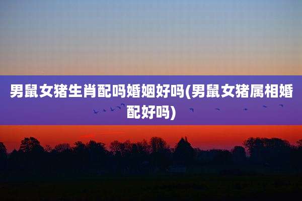 男鼠女猪生肖配吗婚姻好吗(男鼠女猪属相婚配好吗)