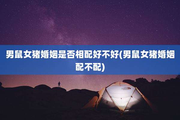 男鼠女猪婚姻是否相配好不好(男鼠女猪婚姻配不配)