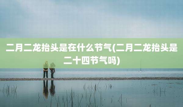 二月二龙抬头是在什么节气(二月二龙抬头是二十四节气吗)