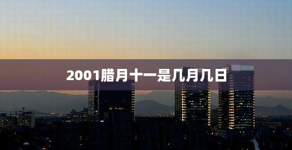 2001腊月十一是几月几日