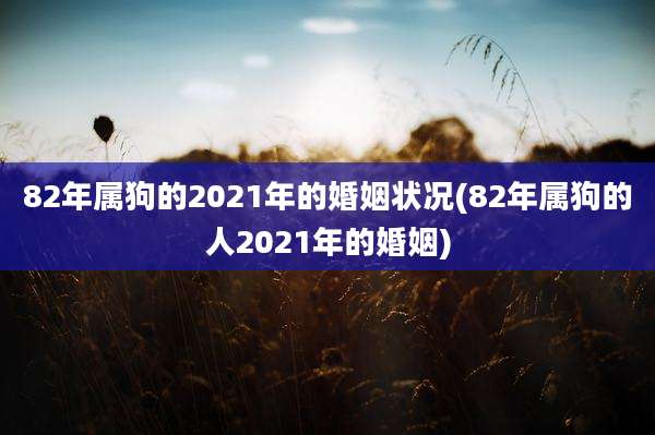 82年属狗的2021年的婚姻状况(82年属狗的人2021年的婚姻)