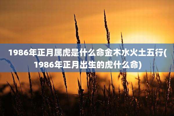 1986年正月属虎是什么命金木水火土五行(1986年正月出生的虎什么命)