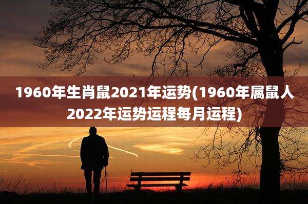 1960年生肖鼠2021年运势(1960年属鼠人2022年运势运程每月运程)