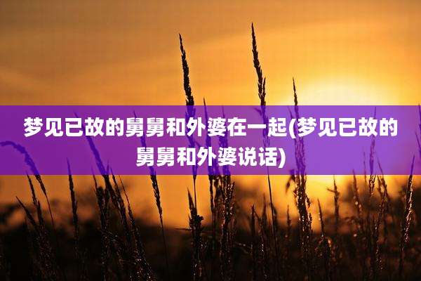 梦见已故的舅舅和外婆在一起(梦见已故的舅舅和外婆说话)