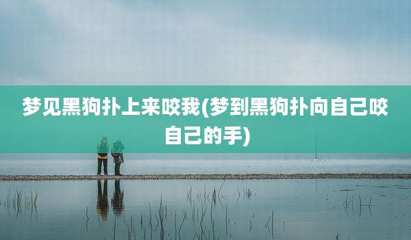 梦见黑狗扑上来咬我(梦到黑狗扑向自己咬自己的手)