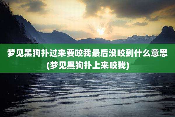 梦见黑狗扑过来要咬我最后没咬到什么意思(梦见黑狗扑上来咬我)