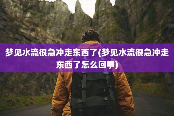 梦见水流很急冲走东西了(梦见水流很急冲走东西了怎么回事)