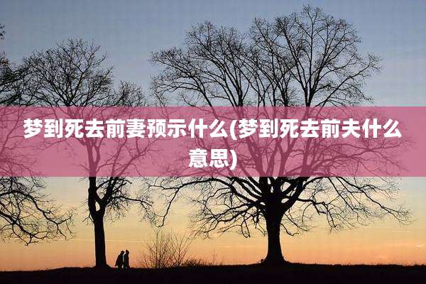 梦到死去前妻预示什么(梦到死去前夫什么意思)