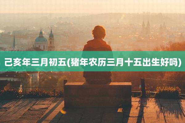 己亥年三月初五(猪年农历三月十五出生好吗)