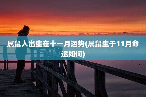 属鼠人出生在十一月运势(属鼠生于11月命运如何)