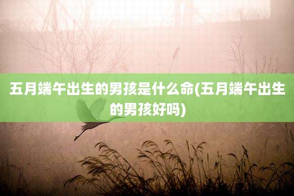 五月端午出生的男孩是什么命(五月端午出生的男孩好吗)