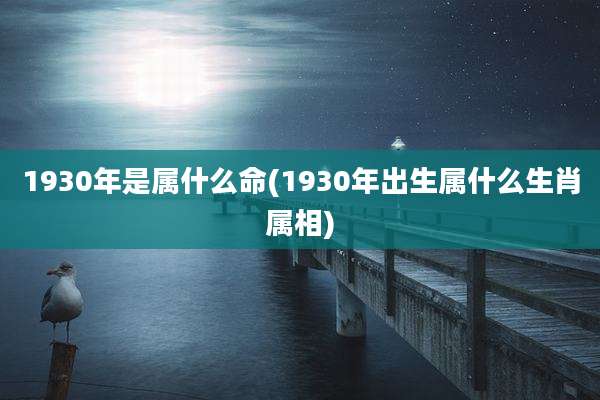 1930年是属什么命(1930年出生属什么生肖属相)