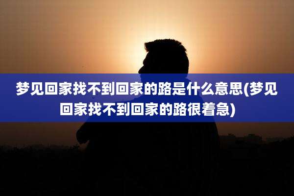 梦见回家找不到回家的路是什么意思(梦见回家找不到回家的路很着急)