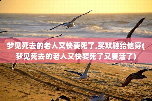 梦见死去的老人又快要死了,买双鞋给他穿(梦见死去的老人又快要死了又复活了)