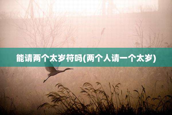 能请两个太岁符吗(两个人请一个太岁)
