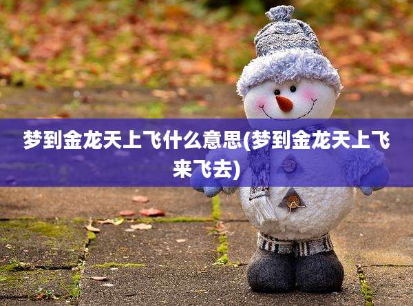 梦到金龙天上飞什么意思(梦到金龙天上飞来飞去)