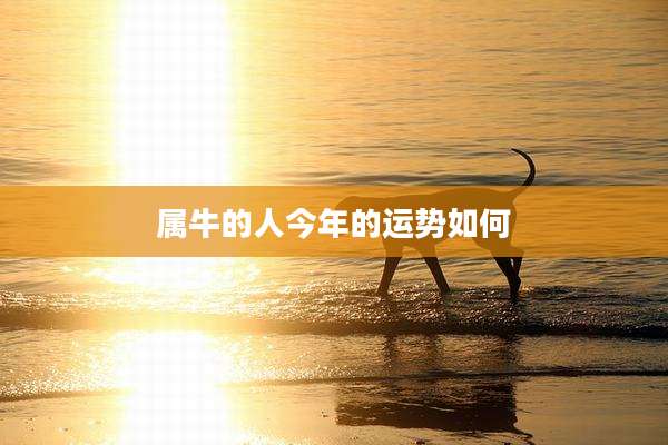 属牛的人今年的运势如何