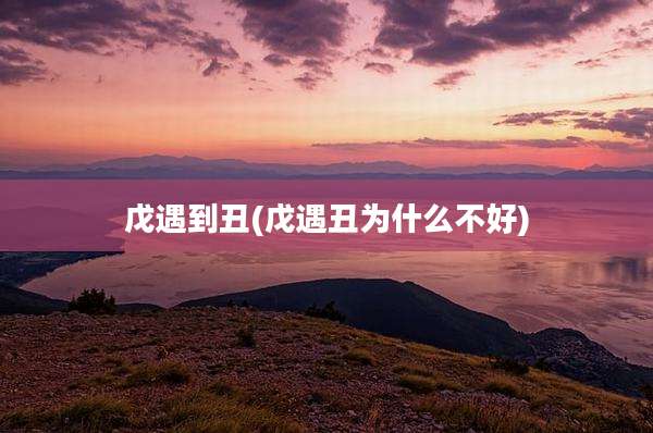 戊遇到丑(戊遇丑为什么不好)
