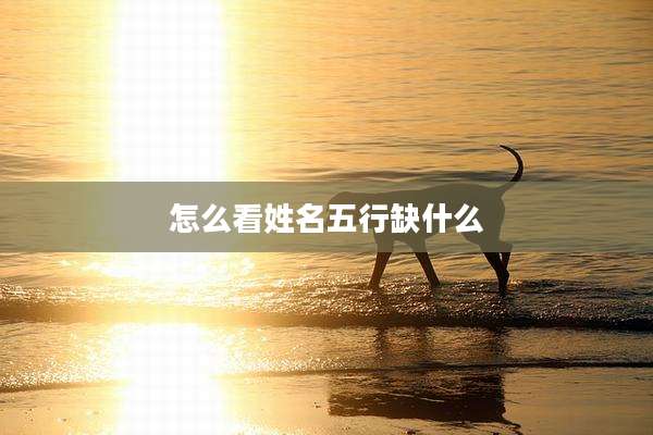 怎么看姓名五行缺什么