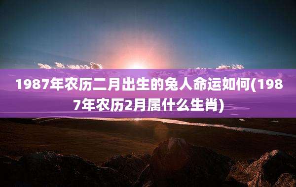 1987年农历二月出生的兔人命运如何(1987年农历2月属什么生肖)