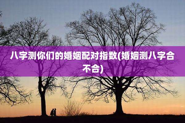 八字测你们的婚姻配对指数(婚姻测八字合不合)