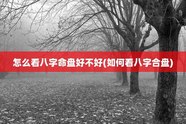 怎么看八字命盘好不好(如何看八字合盘)